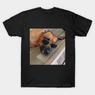 Chill Dog with Glasses T-Shirt